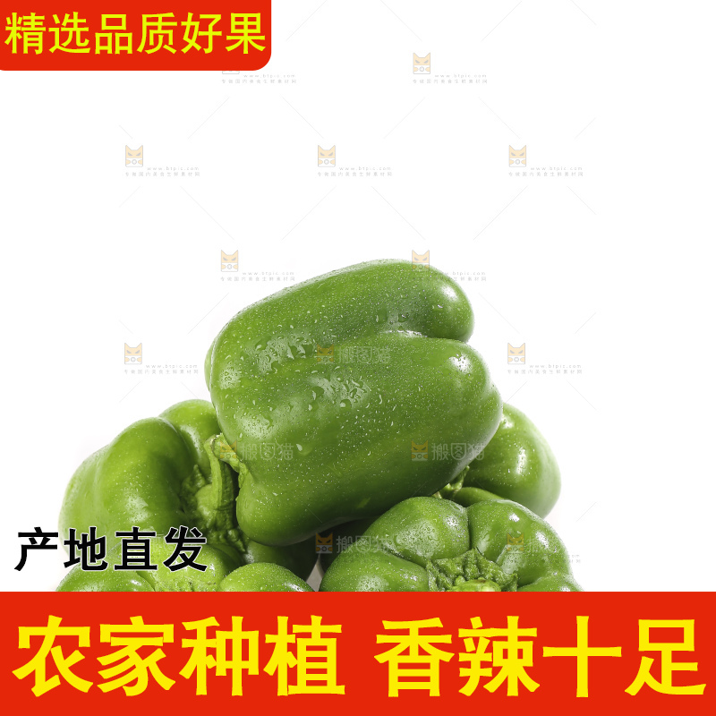 白底上的青圆椒