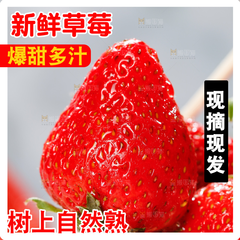 浅底上的丹东草莓
