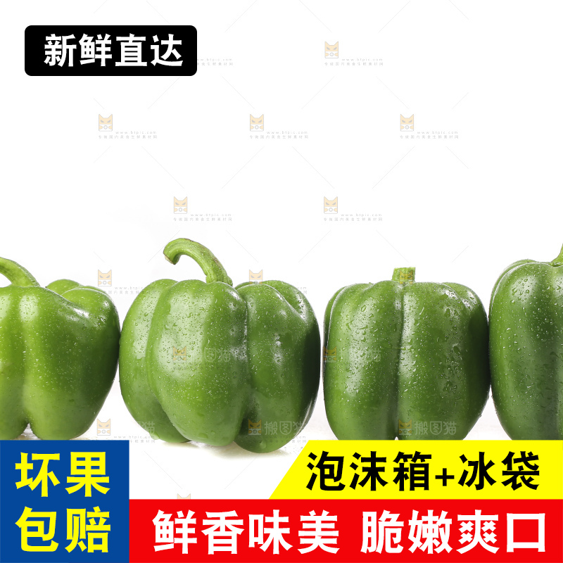 白底上的青圆椒