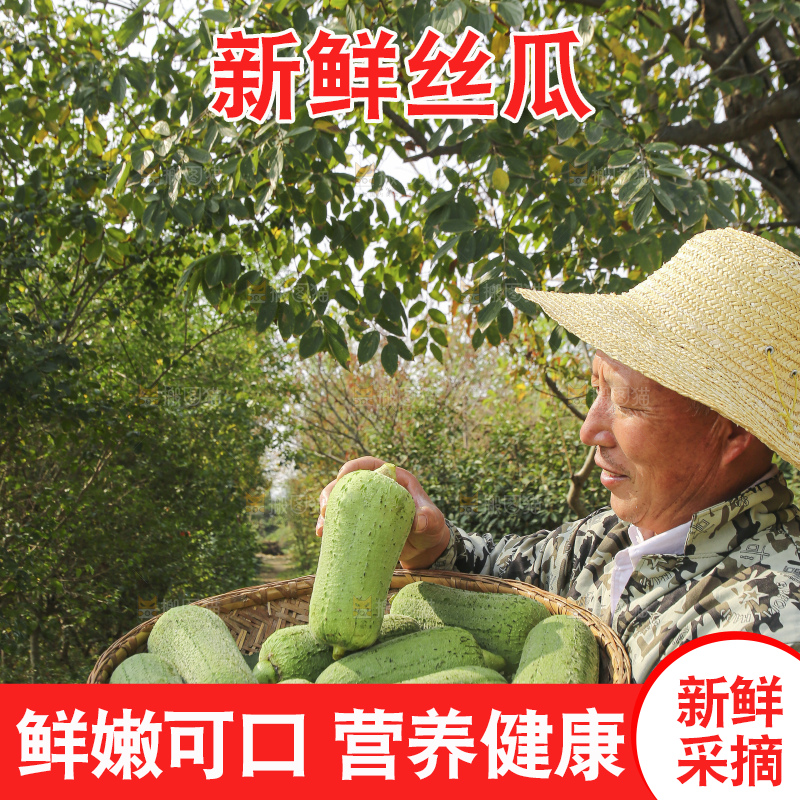 手里拿着新鲜丝瓜