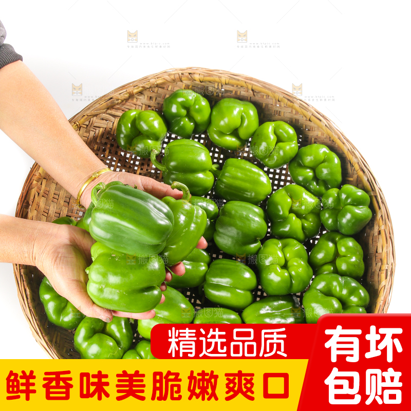 白底上的青圆椒