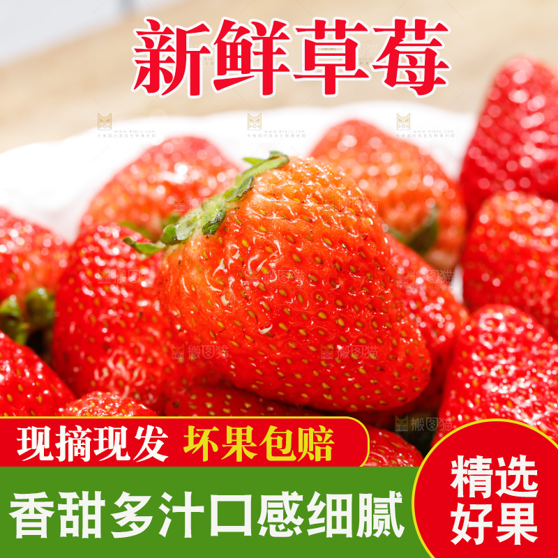 浅底上的丹东草莓
