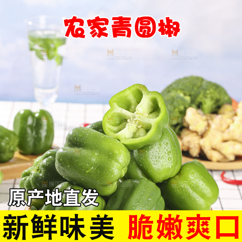 浅底上的青圆椒