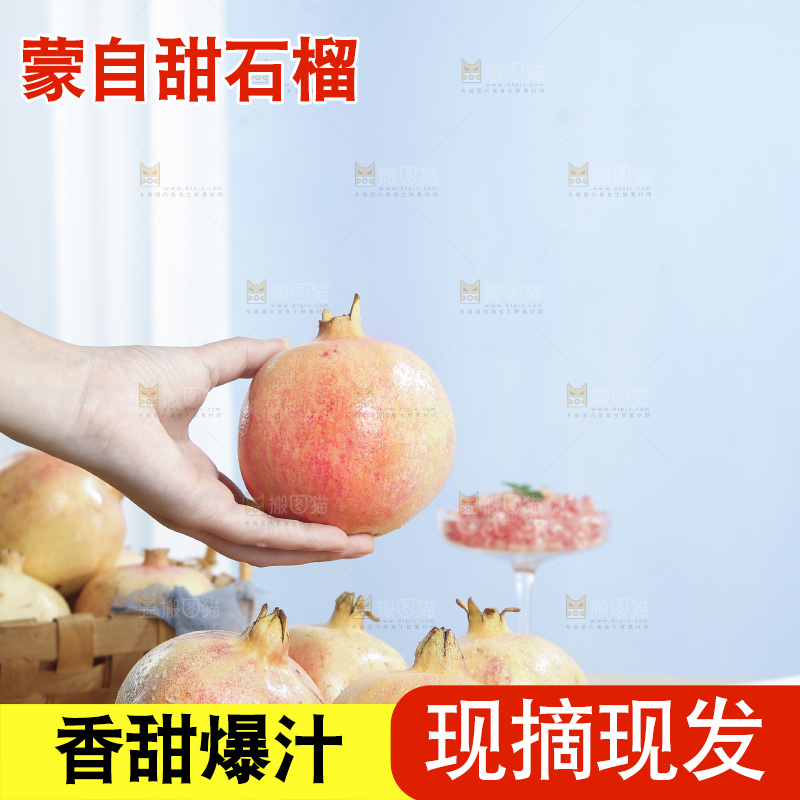 浅底上的蒙自石榴