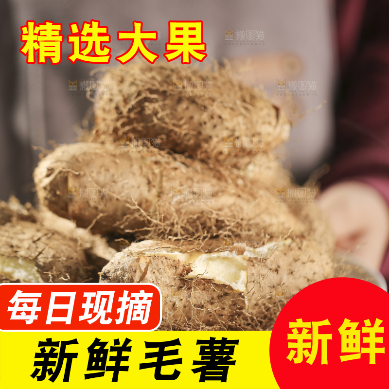 锅里蒸熟的毛薯