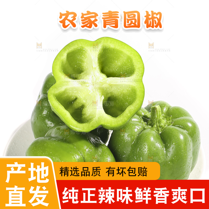 白底上的青圆椒