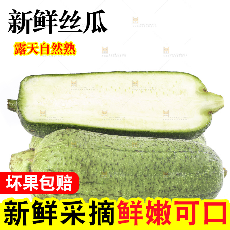 白底上的肉丝瓜