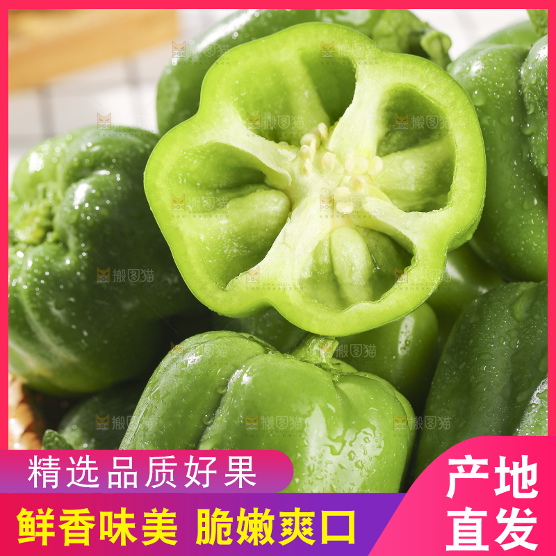 浅底上的青圆椒