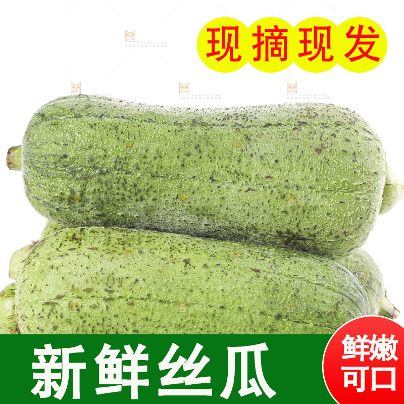 白底上的肉丝瓜