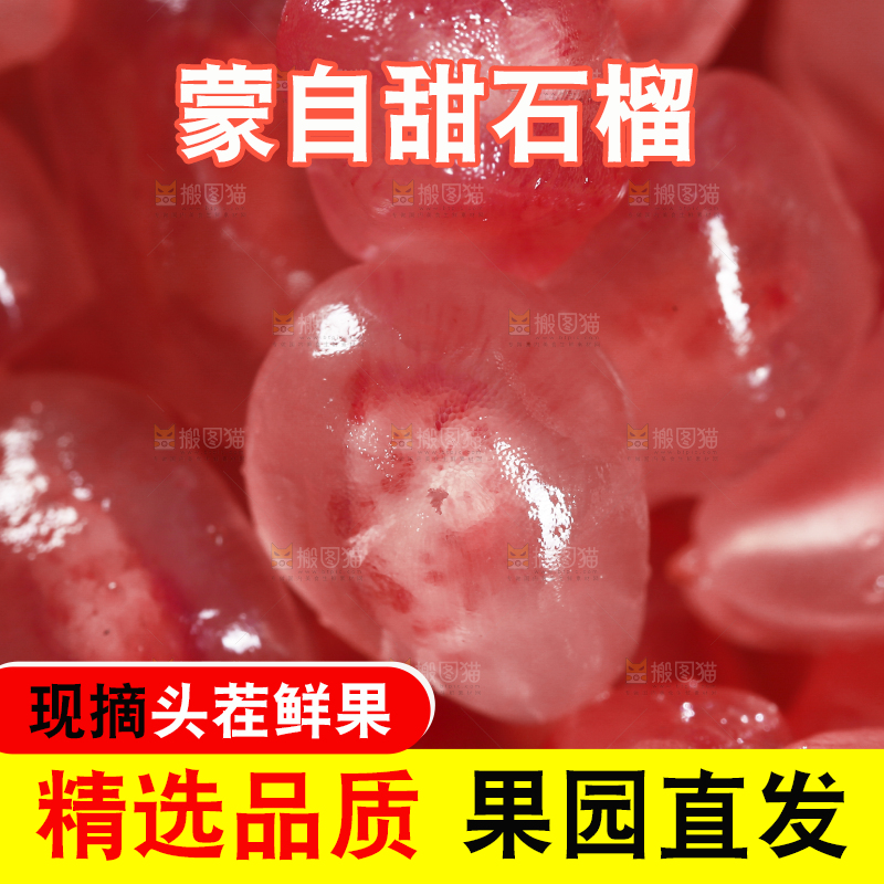 浅底上的蒙自石榴
