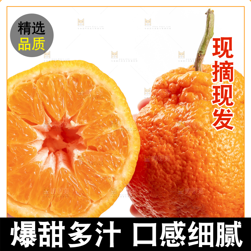 白底上的丑橘