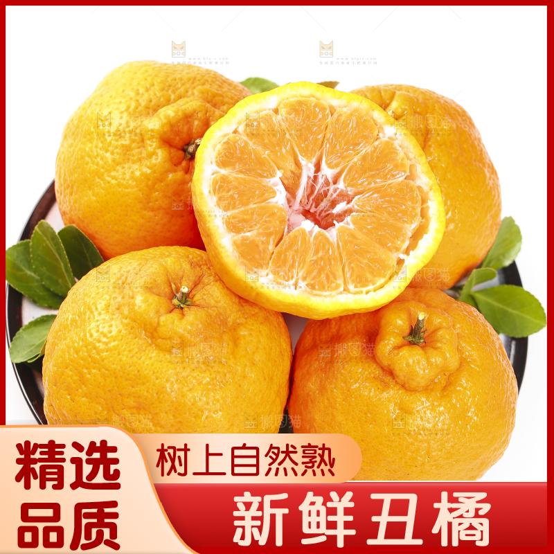 白底上的丑橘