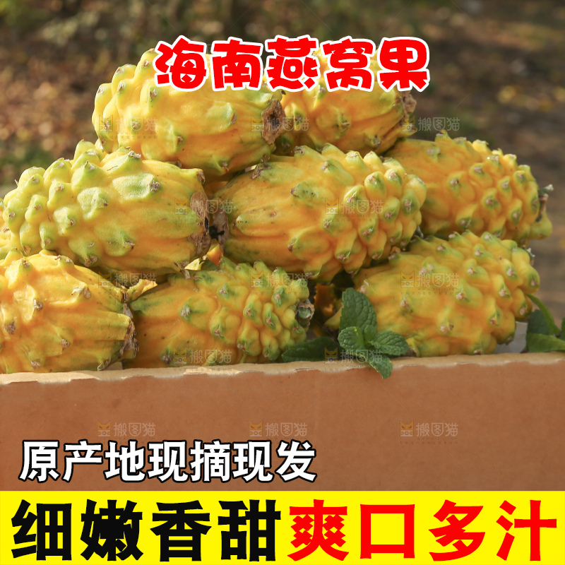 木底上的燕窝果