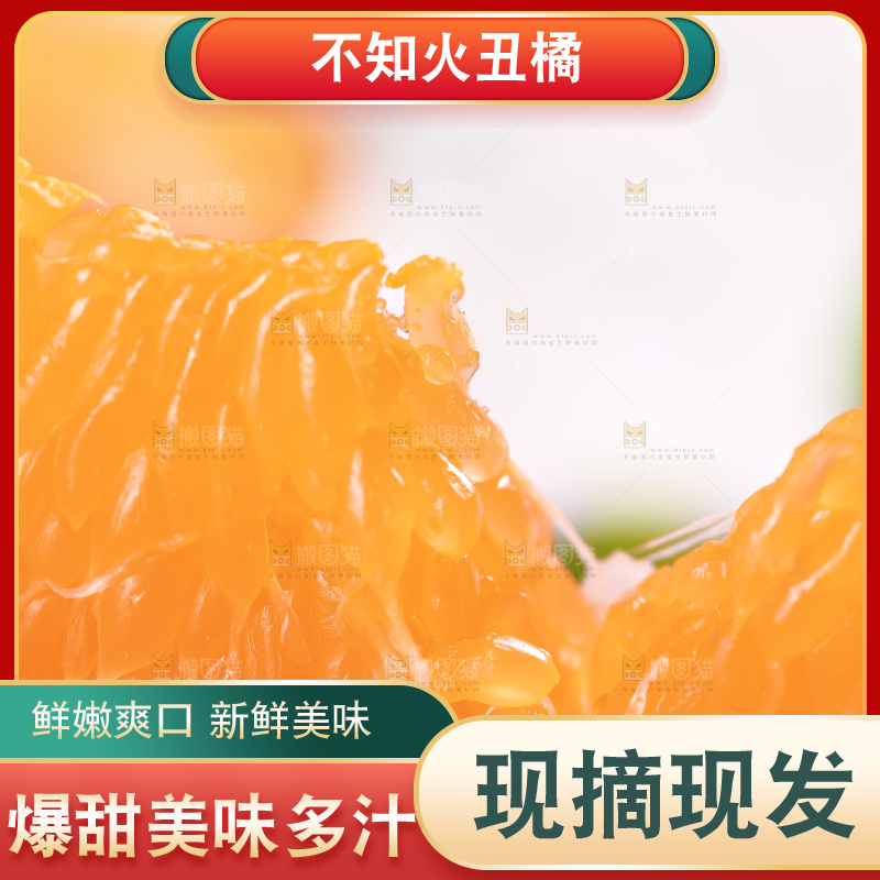 浅底上的丑八怪