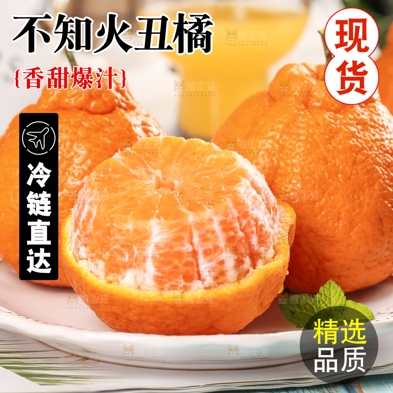 浅底上的丑八怪
