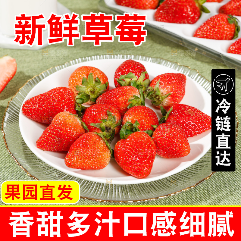 浅底上的丹东草莓