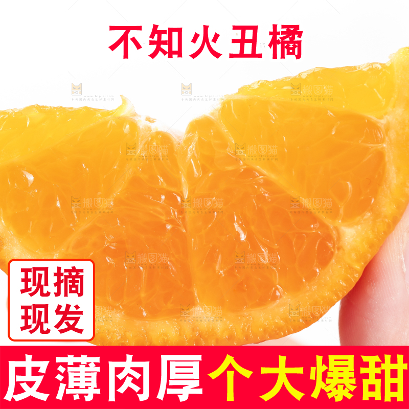 白底上的丑橘