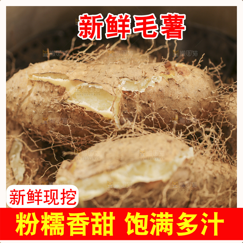 锅里蒸熟的毛薯