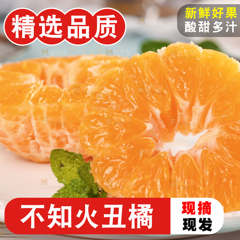 浅底上的丑八怪
