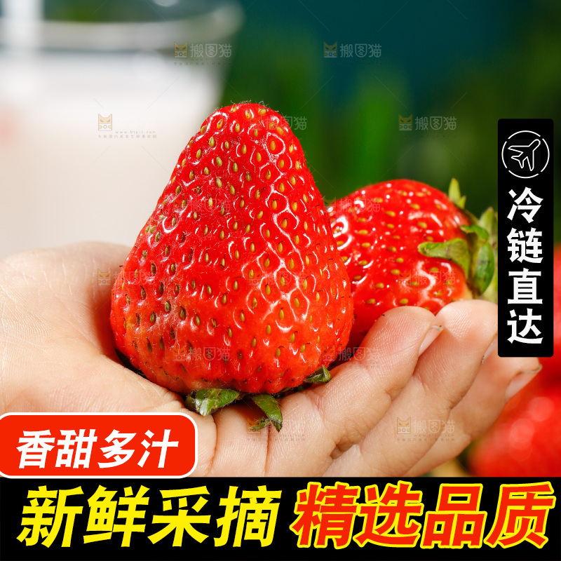 浅底上的丹东草莓