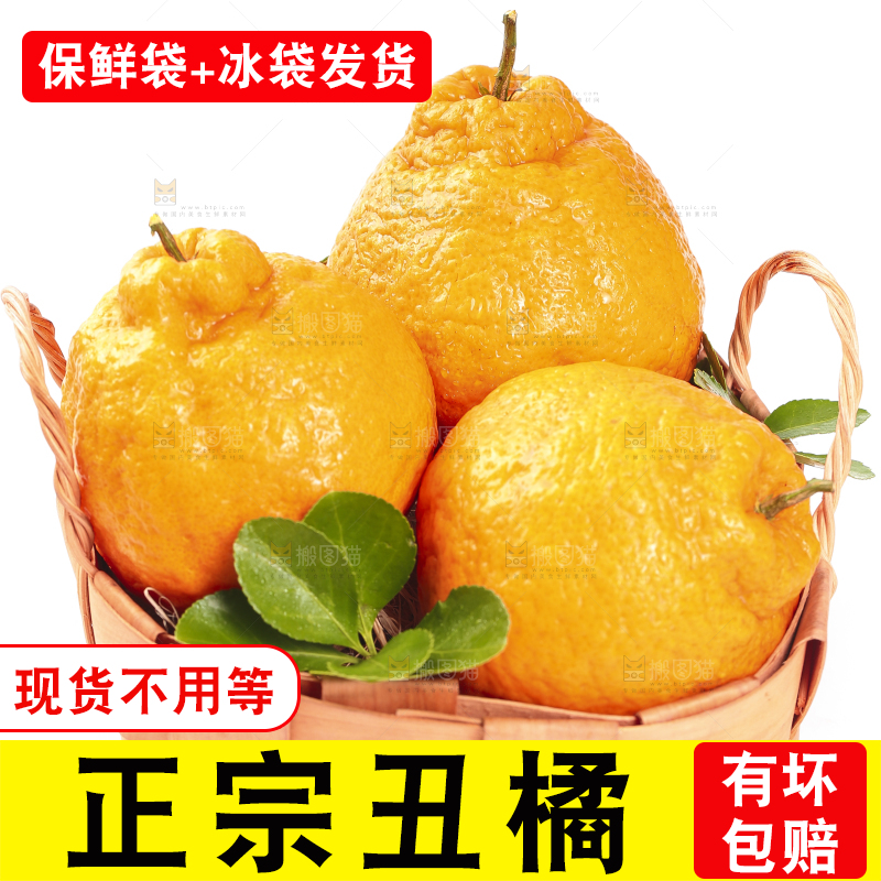 白底上的丑橘