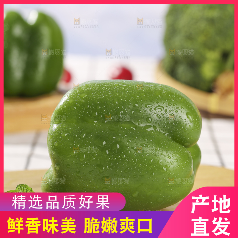 浅底上的青圆椒