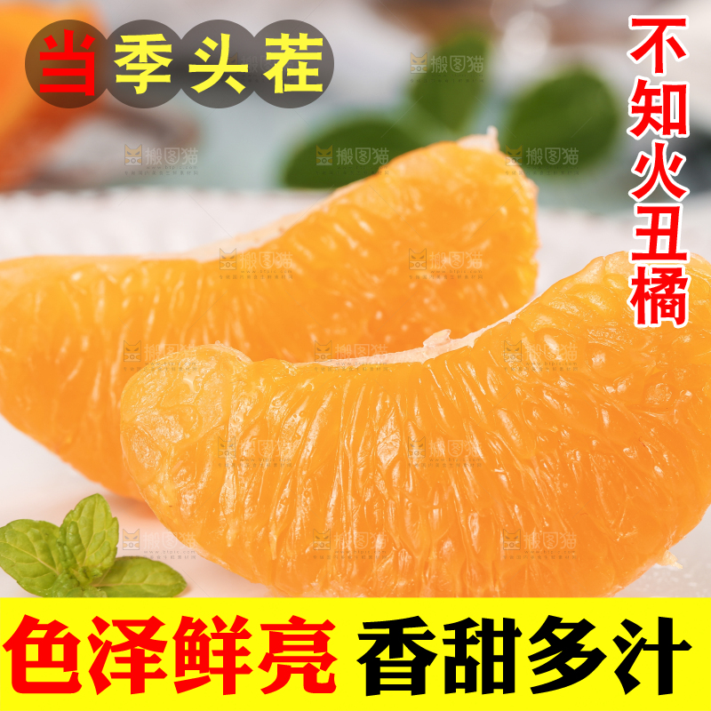 浅底上的丑八怪