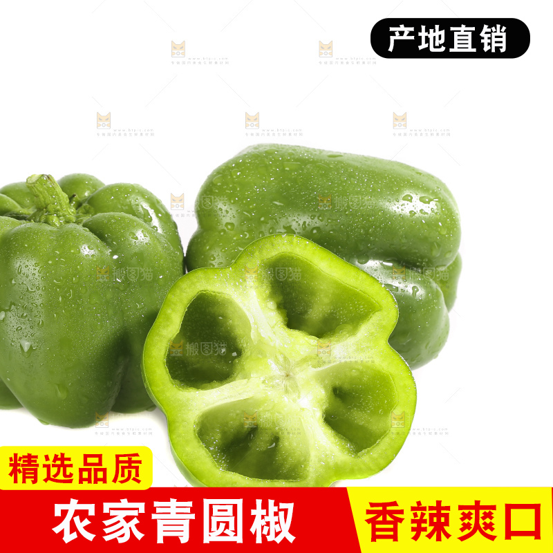 白底上的青圆椒