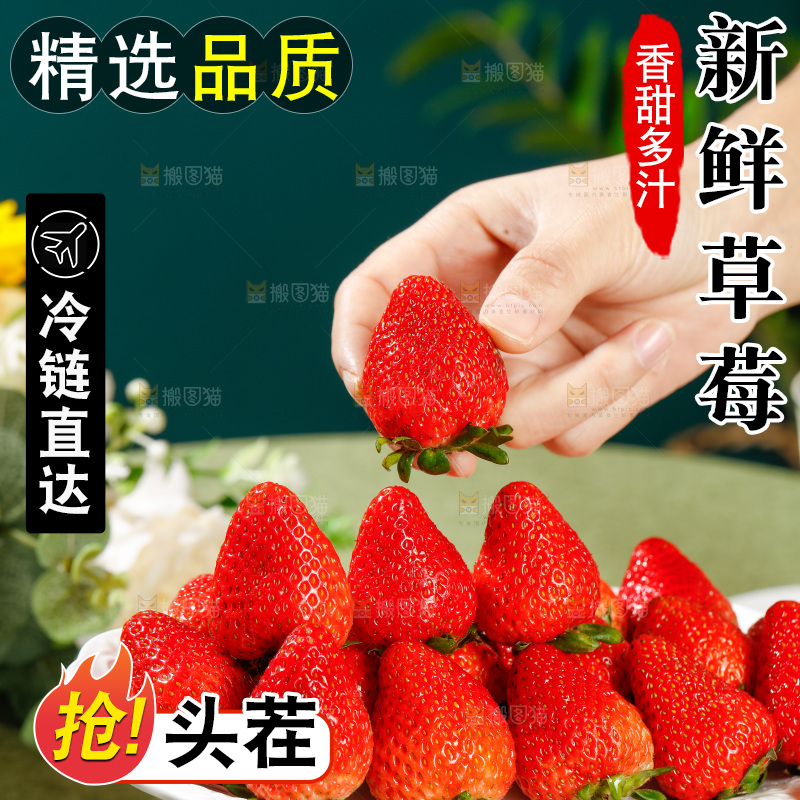 浅底上的丹东草莓