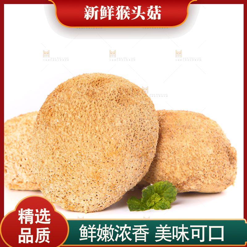 白底上的猴头菇