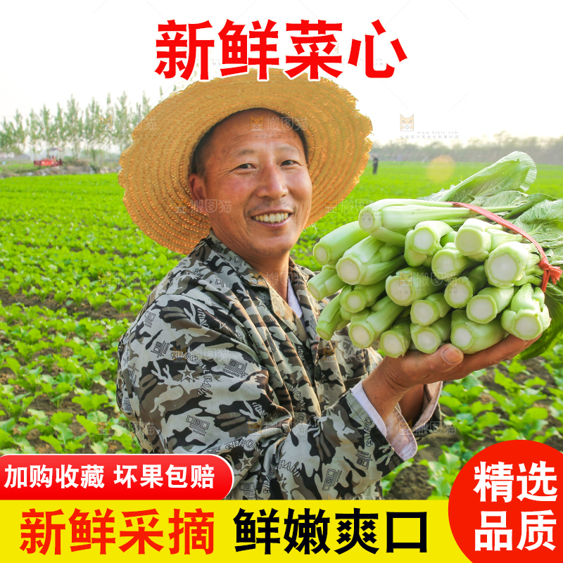 手里拿着广东菜心