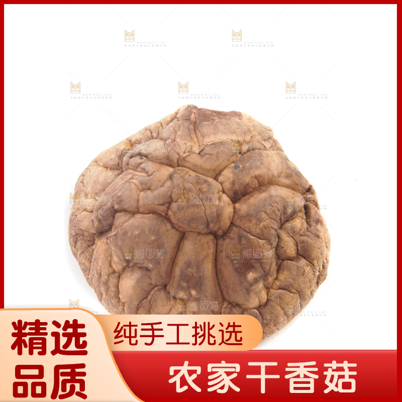 白底上的干香菇