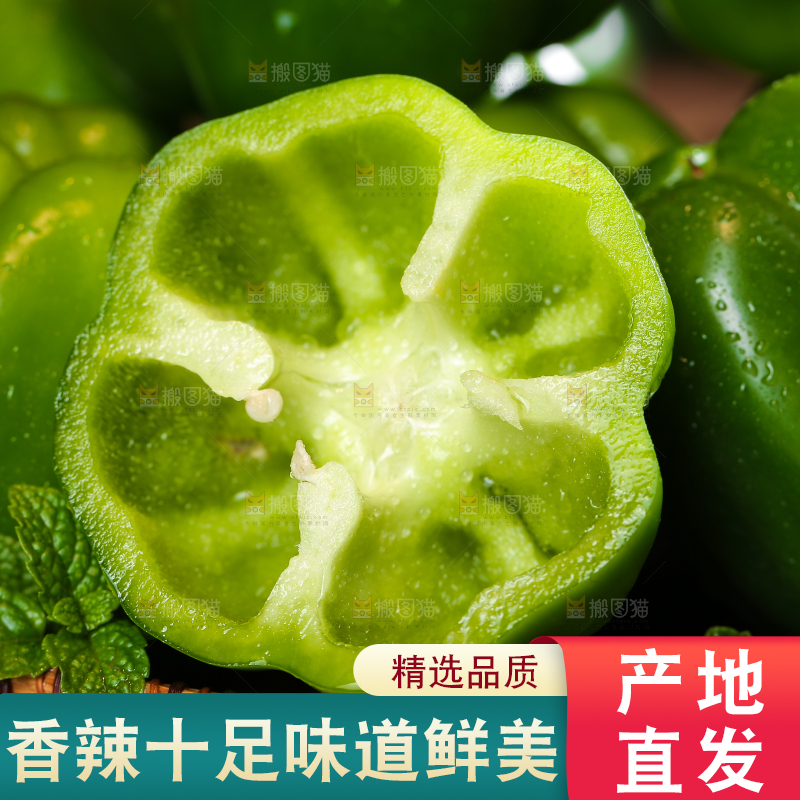青圆椒主图