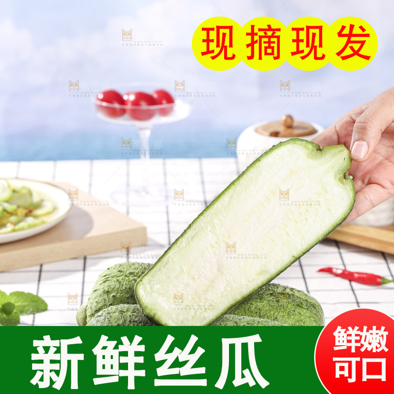 浅底上的肉丝瓜