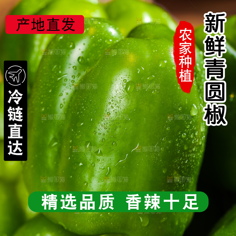 木底上的圆青椒