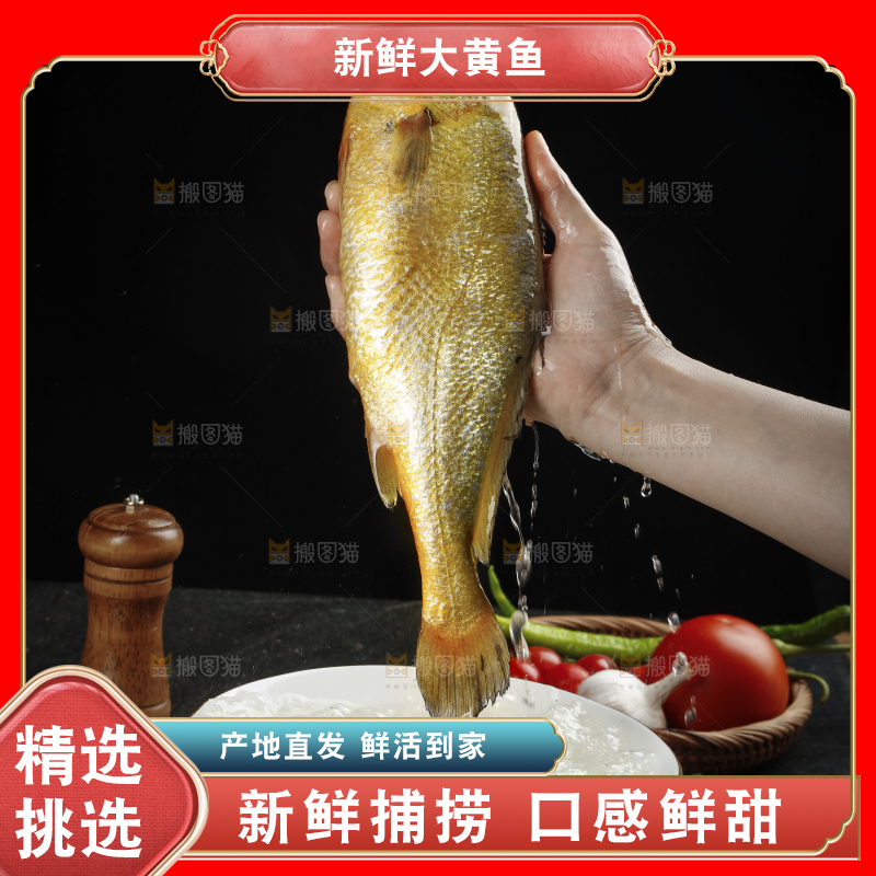 深底上的大黄鱼