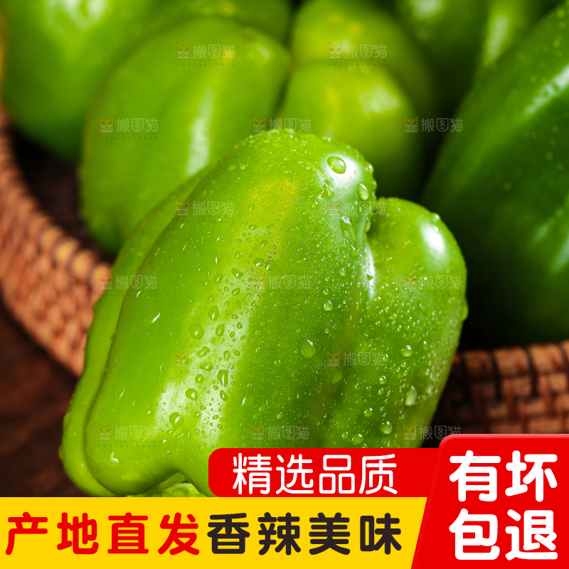 木底上的圆青椒