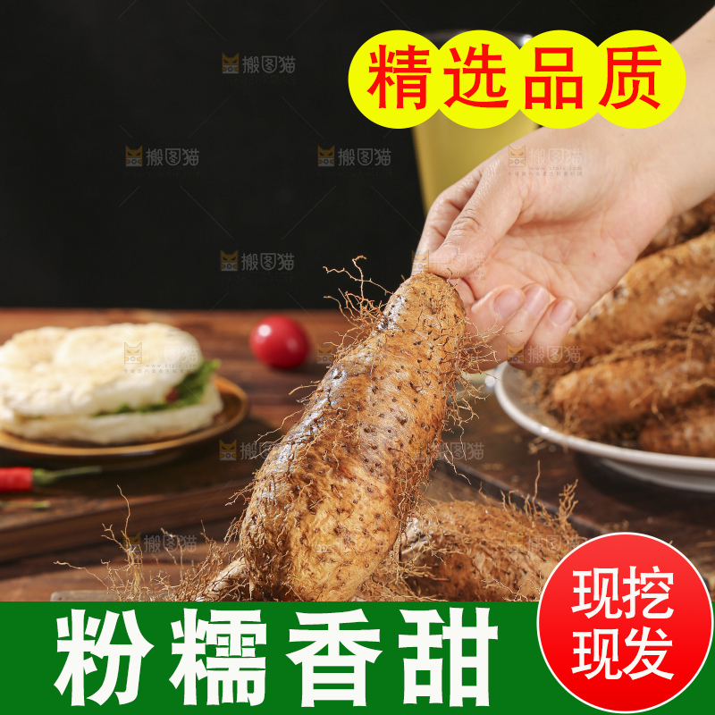 深底上的新鲜毛薯
