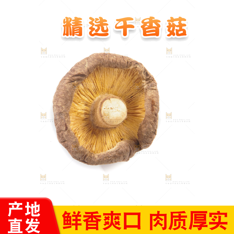 白底上的干香菇
