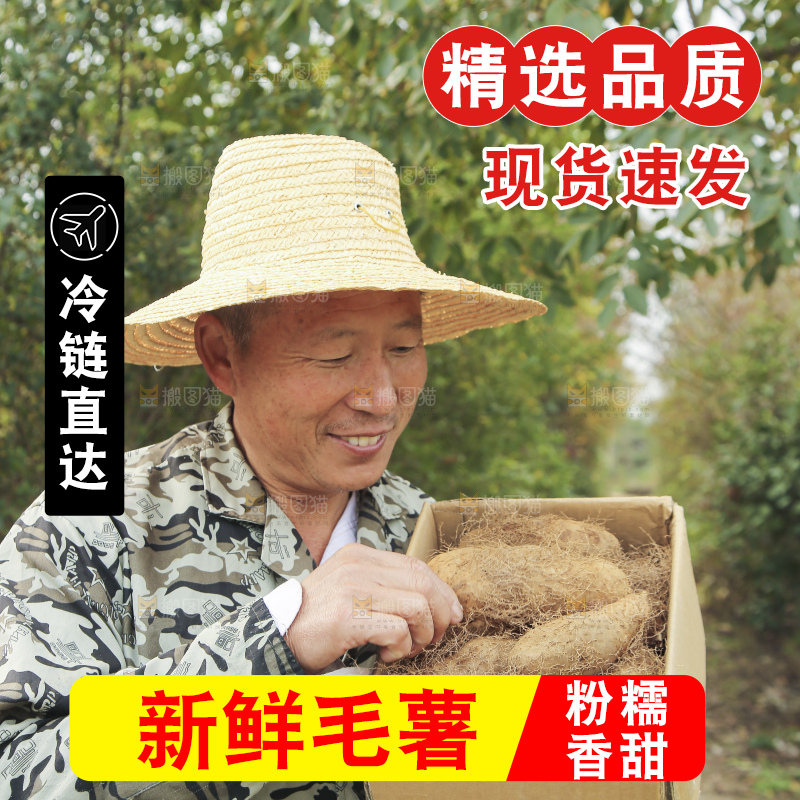 手里拿着新鲜毛薯