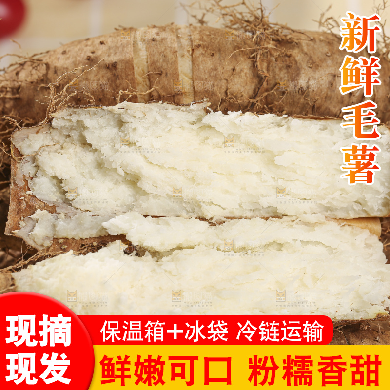 浅底上的新鲜毛薯