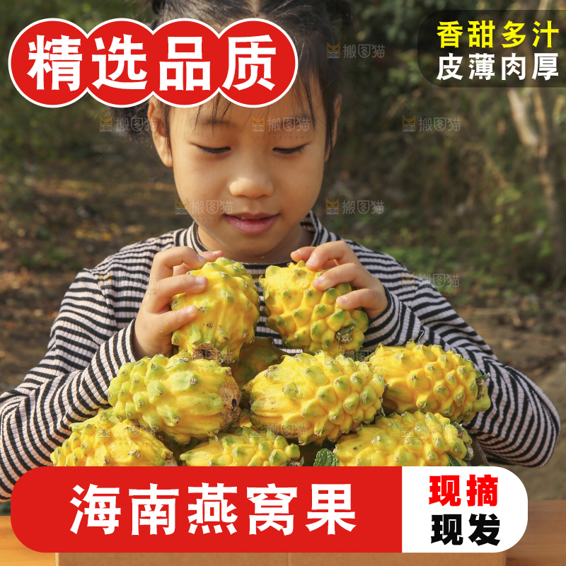 手里拿着燕窝果