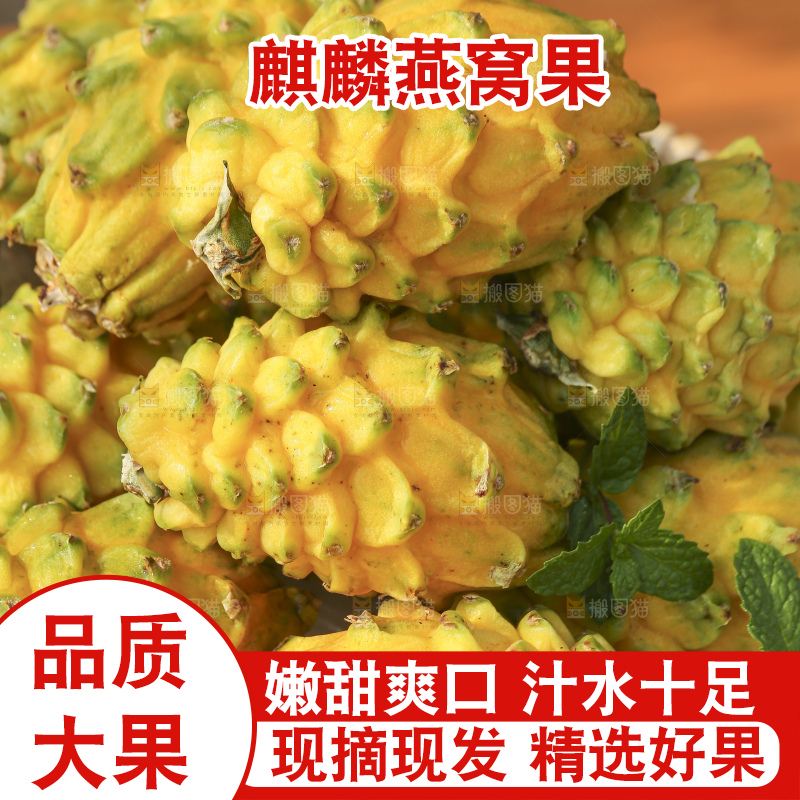 木底上的燕窝果