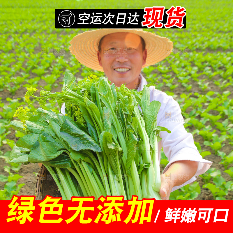手里拿着广东菜心