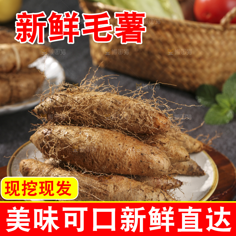 深底上的新鲜毛薯