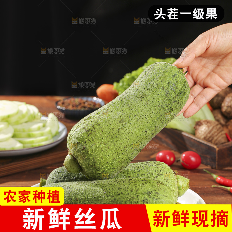肉丝瓜主图