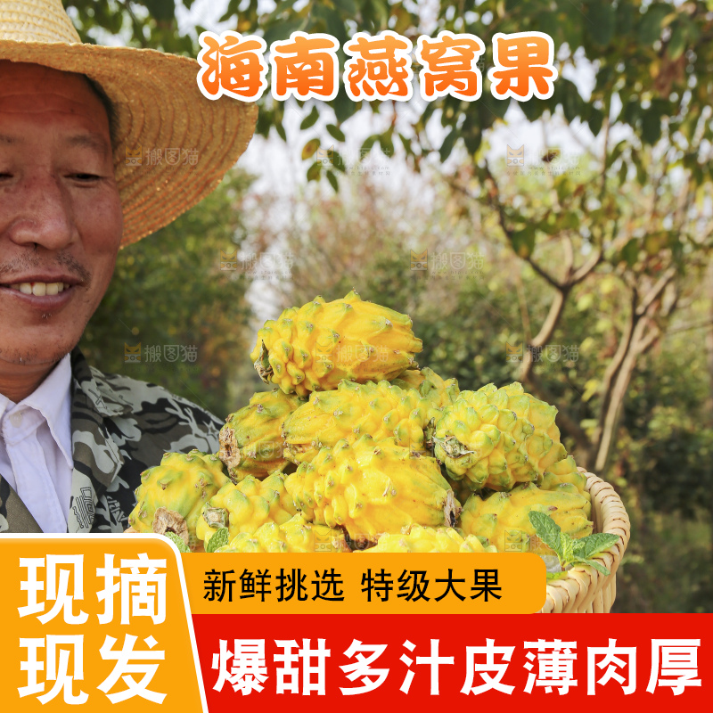 手里拿着燕窝果
