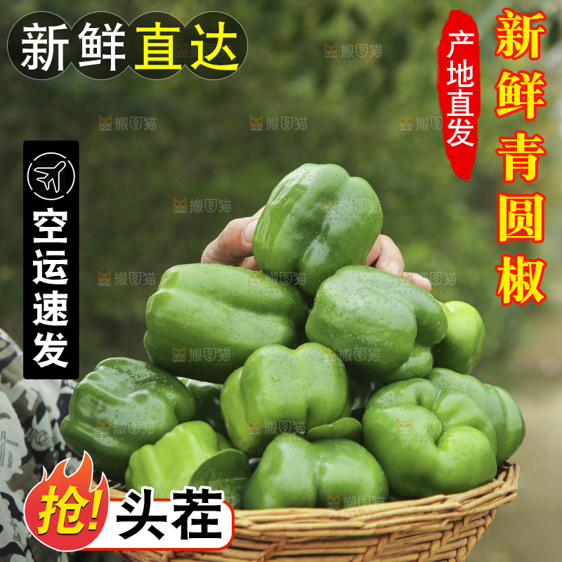 手里拿着新鲜青圆椒