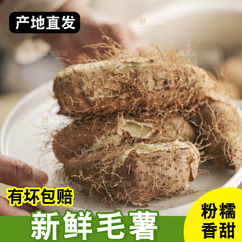 锅里蒸熟的毛薯