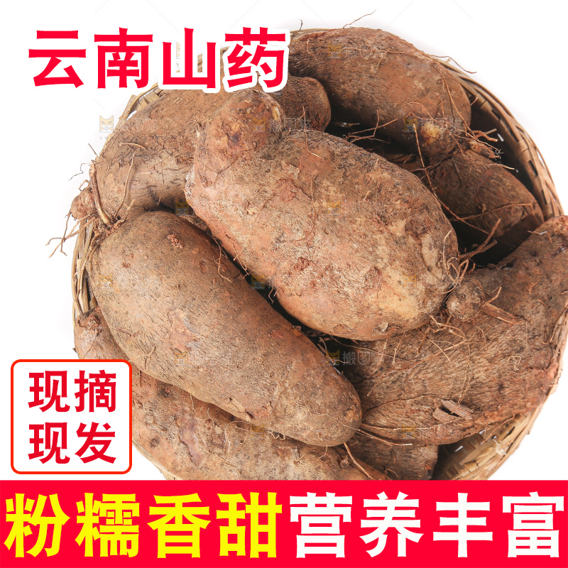 白底上的云南山药